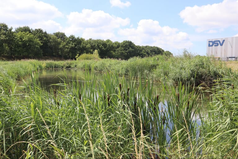 Ruimte en Groen