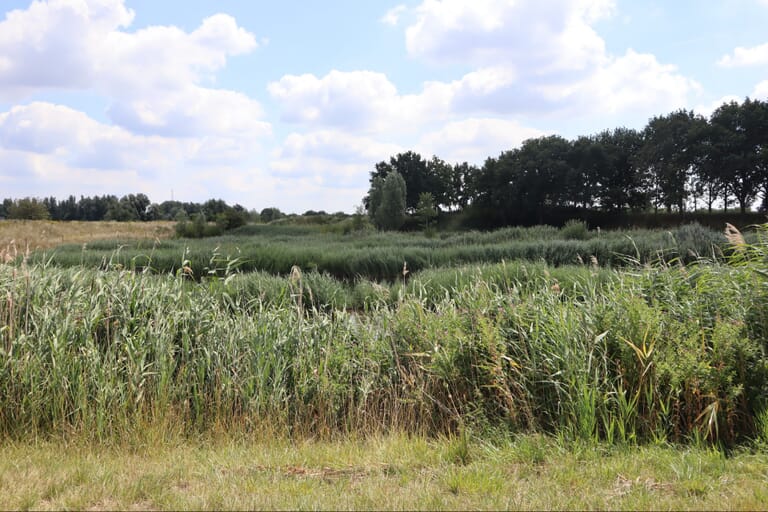 Ruimte en Groen