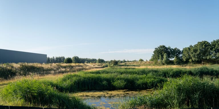 Natuur Paddenpoelen