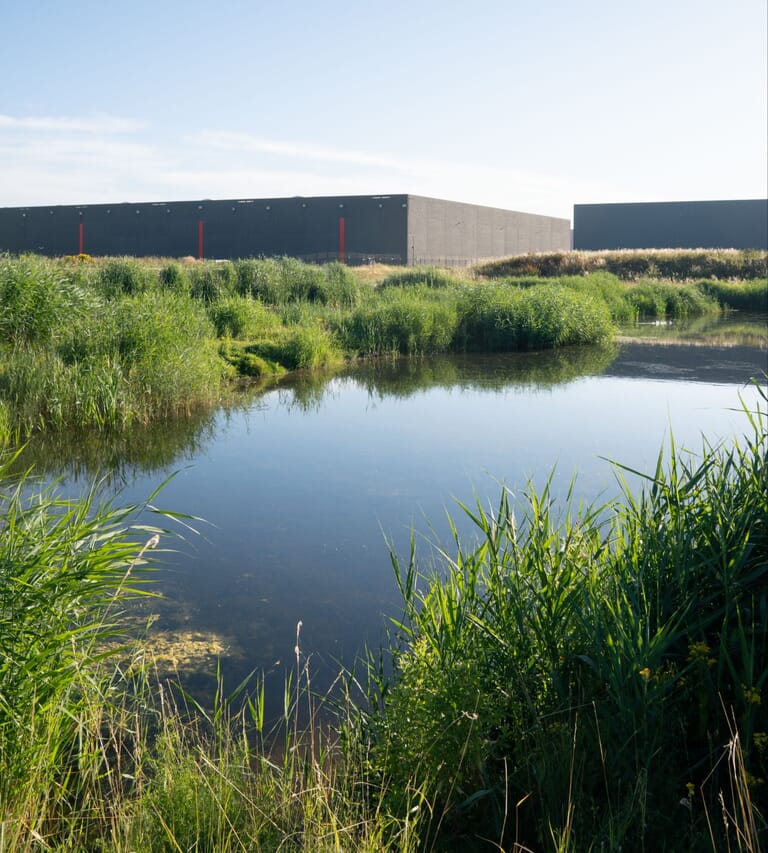 Natuur Paddenpoelen
