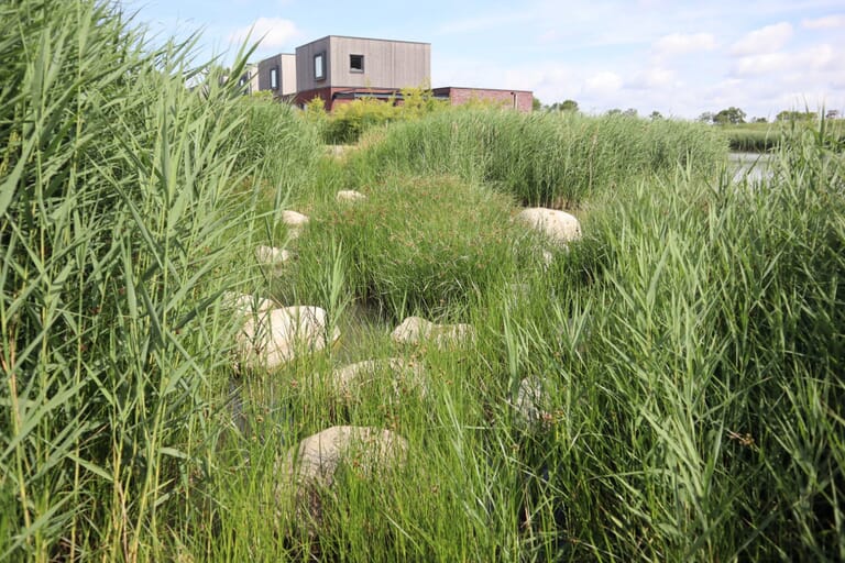 Ruimte en Groen