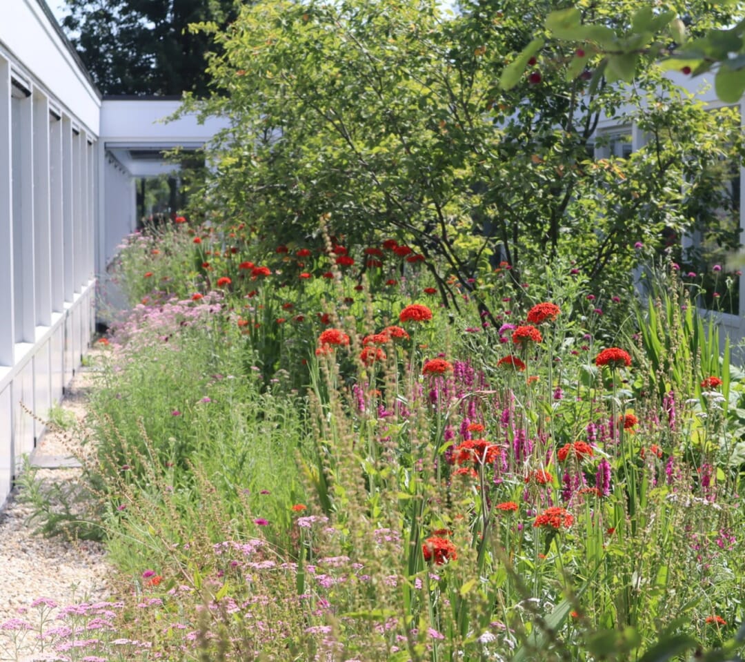 Bloemrijke binnentuin De Saele