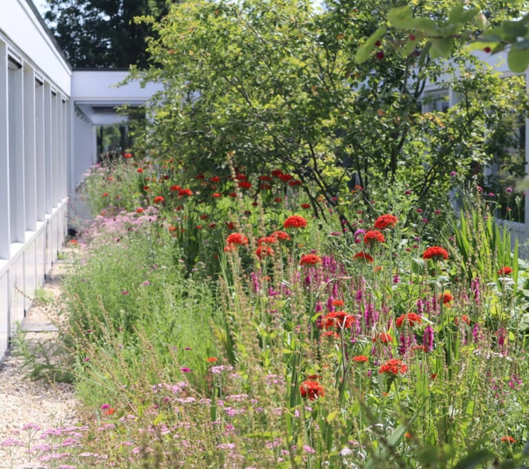 Bloemrijke binnentuin De Saele