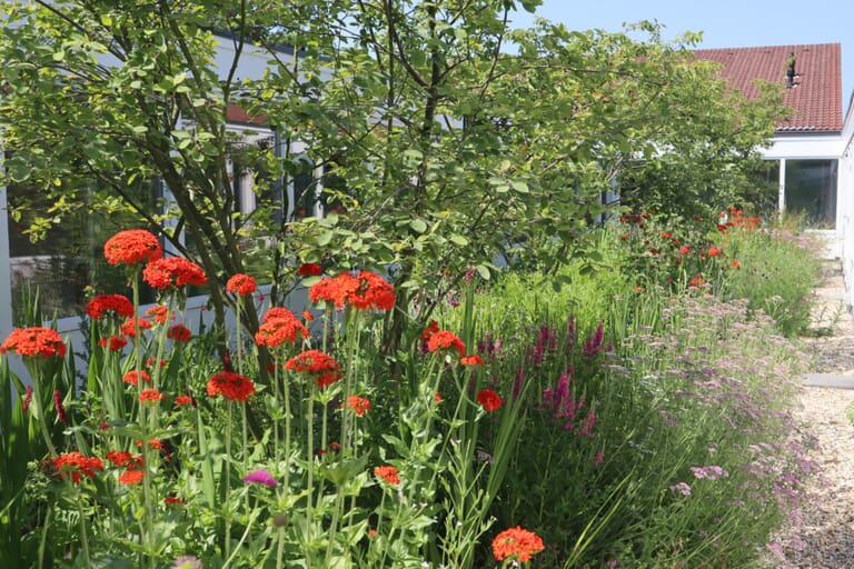 Ruimte en Groen