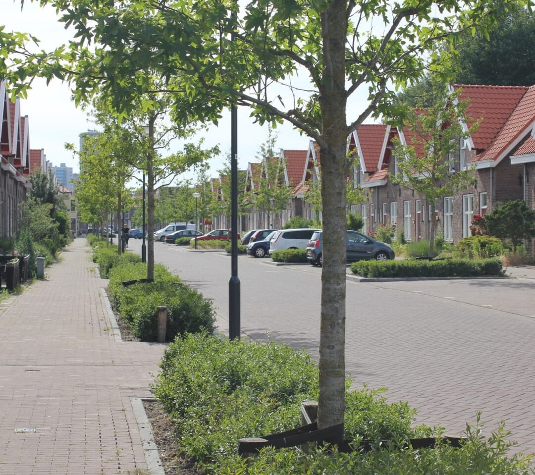 Verkuijl Quackelaarstraat