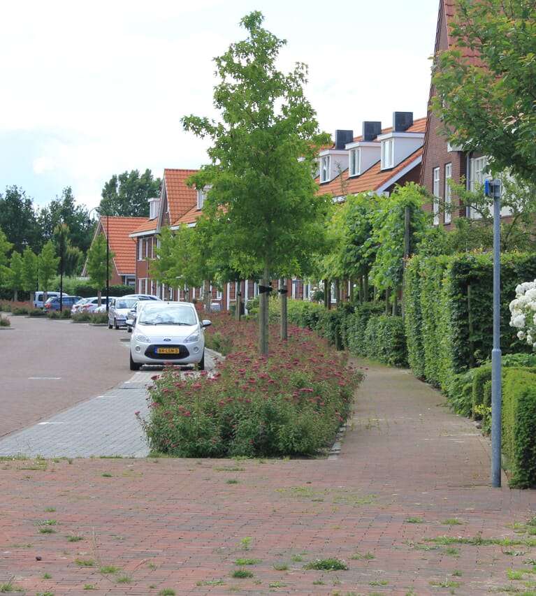 Zuidhoek Kapelle