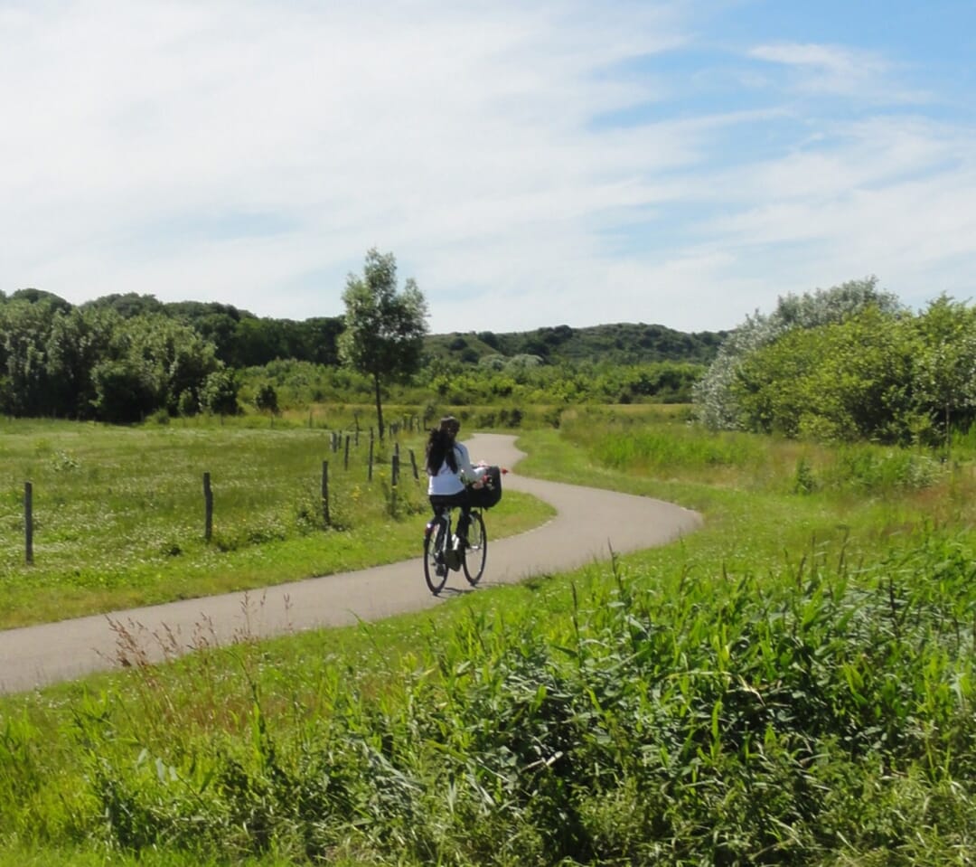 Bos- en natuurgebied Walcheren