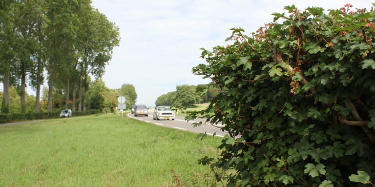 Groenbeheer Rijkswaterstaat