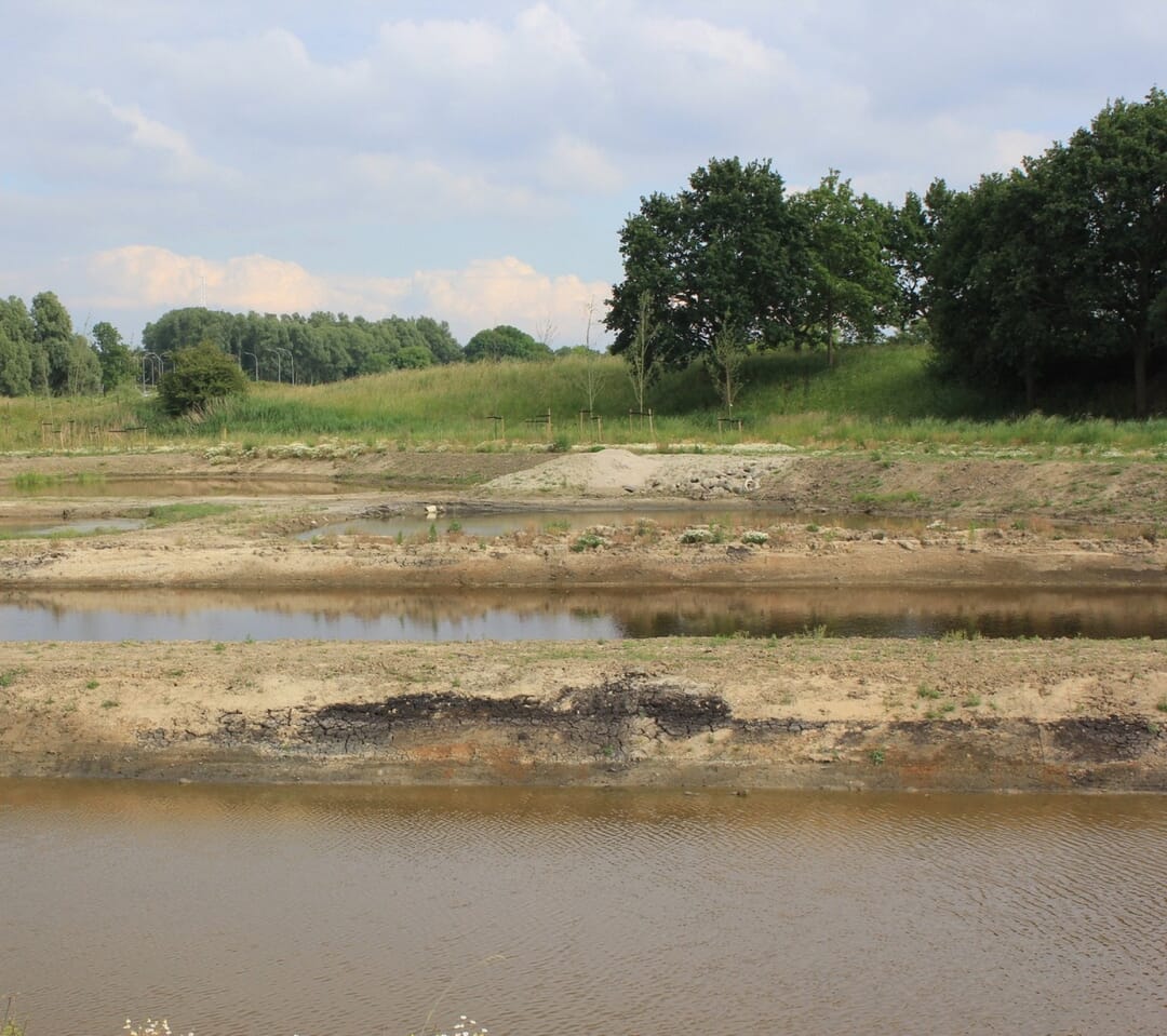 Natuur Paddenpoelen