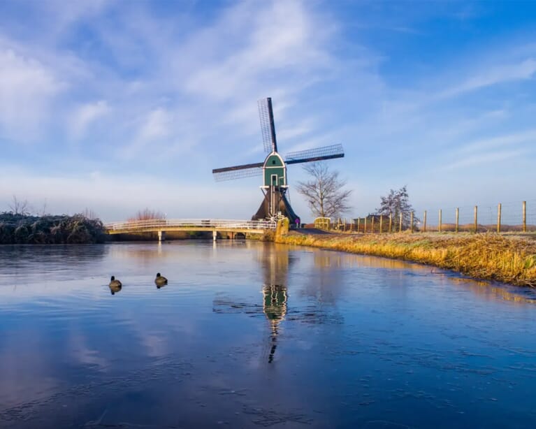 Een molen in een polder met een rivier met eendjes