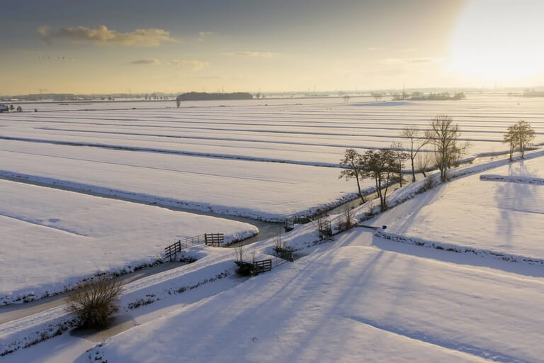 5januari2026-vdwalBeeld_58