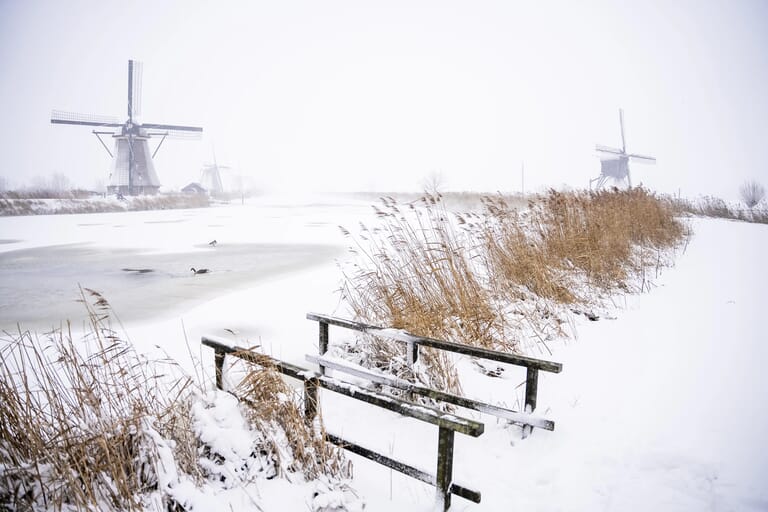sneeuw7Januari-vdwalBeeld_24