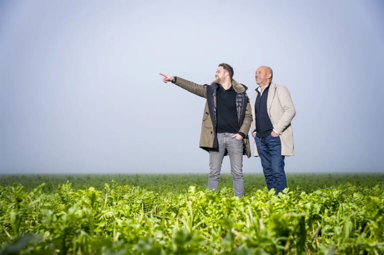 Twee mannen in een weiland