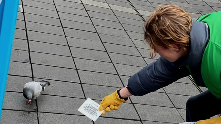 Studenten zetten zich in voor onze Voedselbank