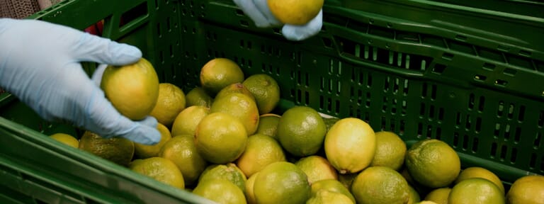 Integriteit en vertrouwenspersonen